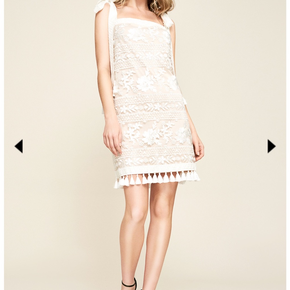 Tadashi Shoji OAKLEY EMBROIDERED TASSEL MINI DRESS
